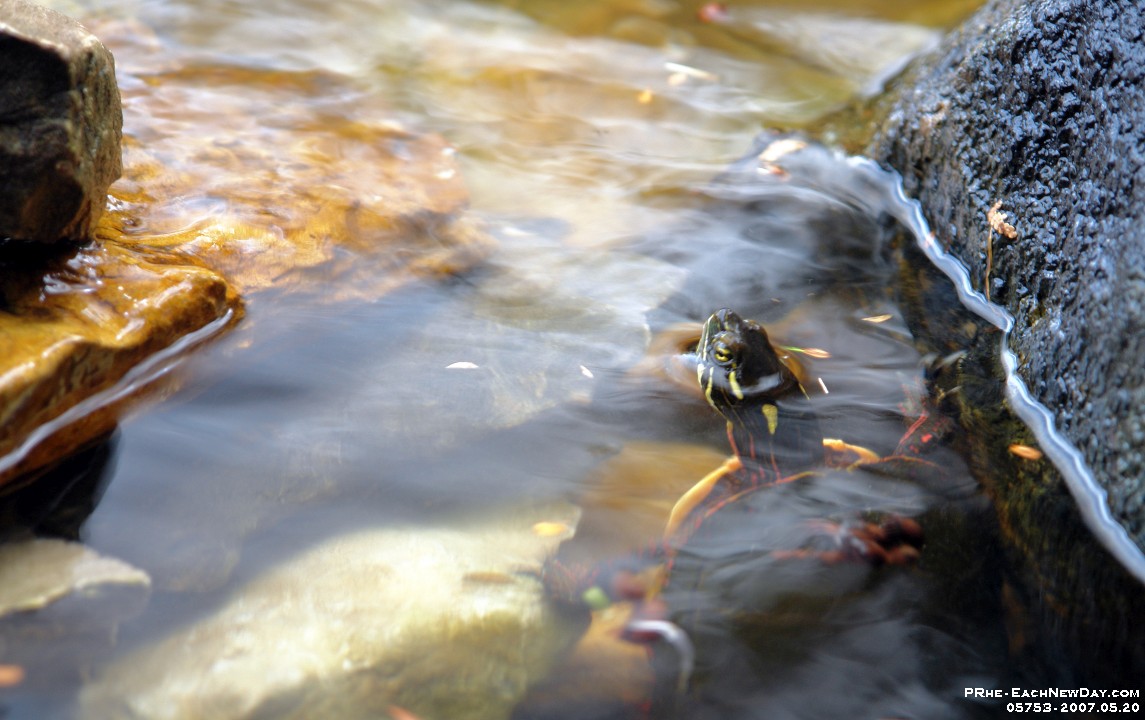 05753cls - Victoria Day Weekend Sunday at the cottage (Happy Anniversary!)